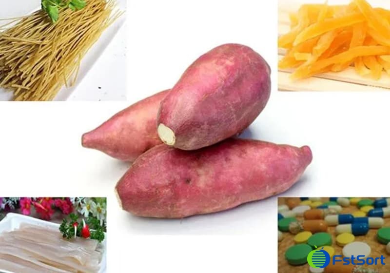 images/1711961325856sweet potato product.jpg